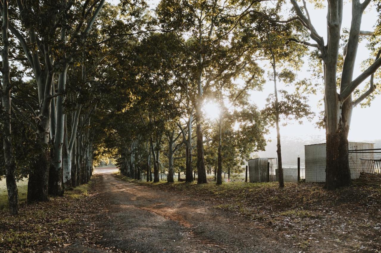 Blackwattle Farm Бірва Екстер'єр фото