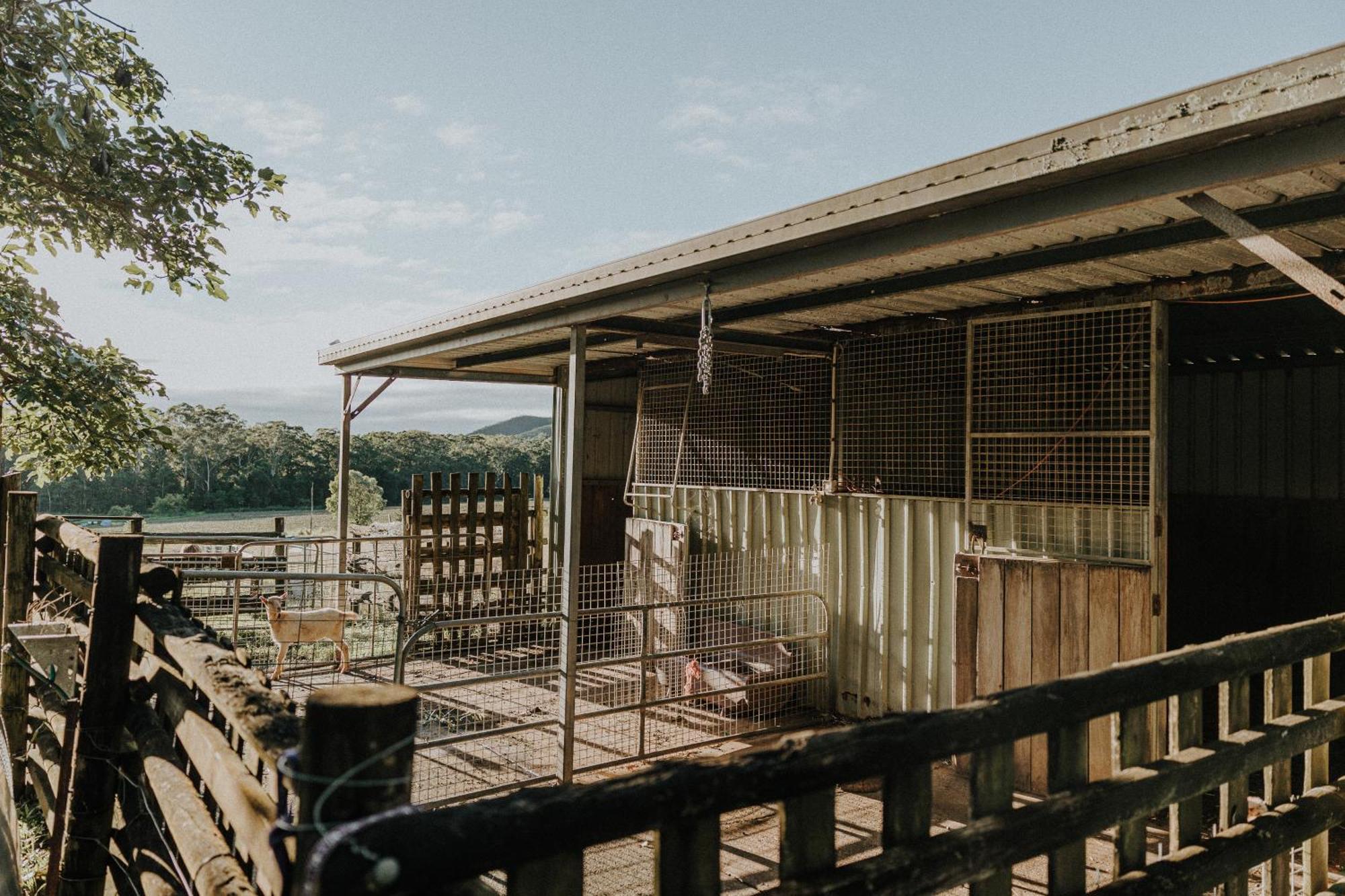 Blackwattle Farm Бірва Екстер'єр фото
